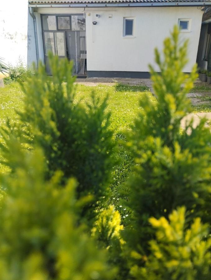 Marija Apartman Ossero Esterno foto