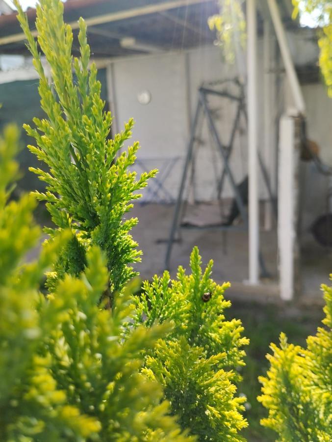 Marija Apartman Ossero Esterno foto