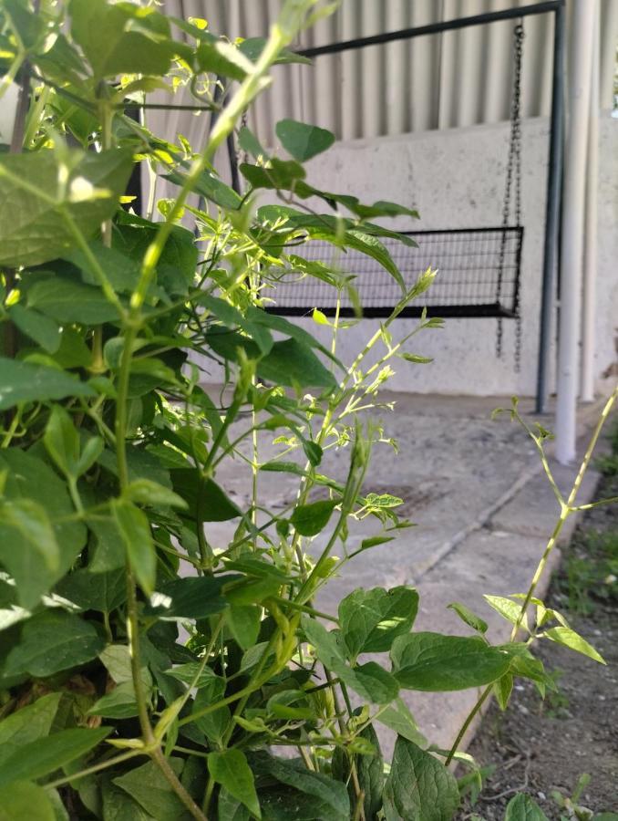 Marija Apartman Ossero Esterno foto